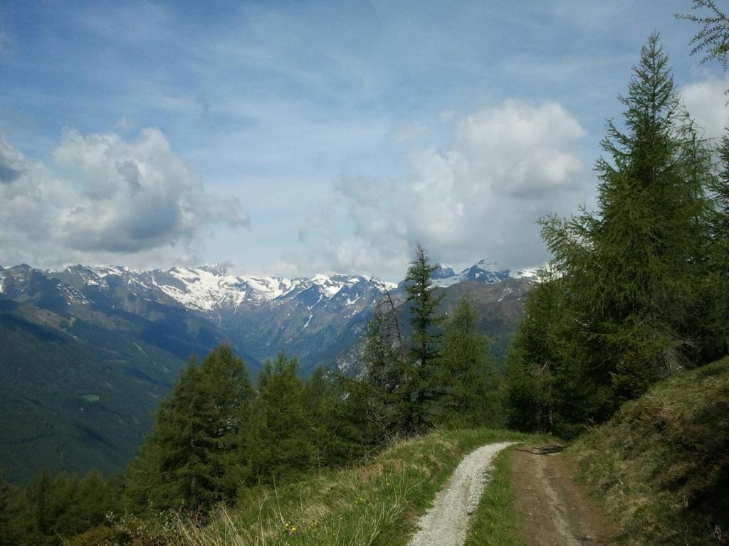 Naturhotel Haller Racines Dış mekan fotoğraf